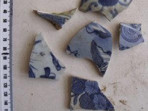 Ceramics Blue on White that we found while clearing the site around the Portuguese houses. Luanze, Zimbabwe. Author and Copyright Chris Dunbar