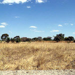 Feira site of Massapa now Baranda Farm