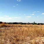 Feira site of Massapa now Baranda Farm (6)