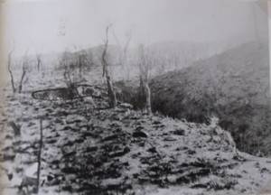 Fig. 3. Looking towards S. – E. corner, with ‘sunken bastion’ (marked with pen on original picture), Angwa Fort 3, Zimbabwe