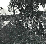 Benteng Tohula, Tidore, Indonesia. Author van de Wall (1928)