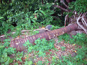 Gun, Lamakera, Solor Island, Indonesia. Author and Copyright Mark Schellekens and Greg Wyncoll