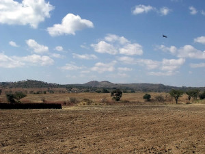 Location of Earthwork 1 in the distance. Dambarare, Zimbabwe. Author and Copyright Chris Dunbar