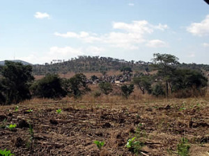 robably the church mound, Dambarare, Zimbabwe. Author and Copyright Chris Dunbar