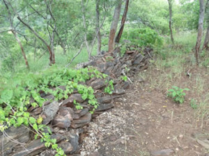 Schist walls at Shona site. Makaha, Zimbabwe. Photo © by Chris Dunbar