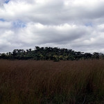 Site of minor Portuguese earthwork. Dambarare, Zimbabwe. Author and Copyright Chris Dunbar