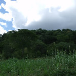 The hill site for the site which was Shona not Portuguese. Makaha, Zimbabwe. Photo © by Chris Dunbar