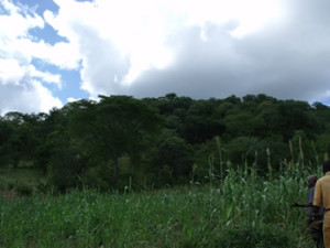 The hill site for the site which was Shona not Portuguese. Makaha, Zimbabwe. Photo © by Chris Dunbar