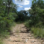 The road in was 40km's of this then 5km's of walking through the bush as the only paths visible were ones used by the illegal gold panners. Maramuca, Zimbabwe. Photo © by Chris Dunbar
