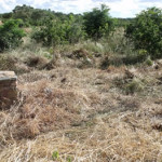 The site of the Church after we cleared the trees and grass. Daga mud with pole imprints was very visible. Luanze, Zimbabwe. Author and Copyright Chris Dunbar