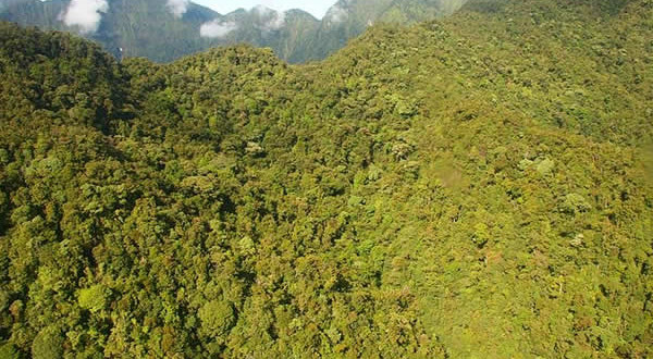 Mount Bosavi, Papua Nuova Guinea. Author Panvorax. Licensed under the Creative Commons Attribution.
