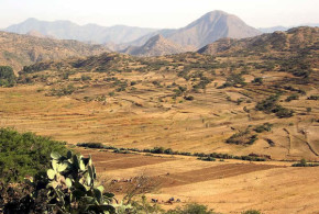 Tra Asmara e Decamerè, Eritrea. Author David Stanley. Licensed under the Creative Commons Attribution
